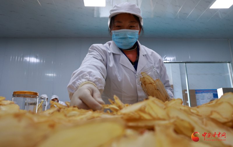 揭秘天麻价格波动与市场行情